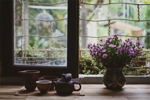 Why Are My Hellebores Turning Green? It's Normal — Here's the Science